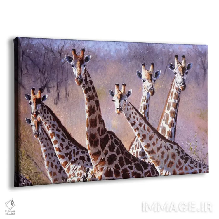 تابلو زرافهها اثر پیپ مکگری - نمای پرسپکتیو محصول
