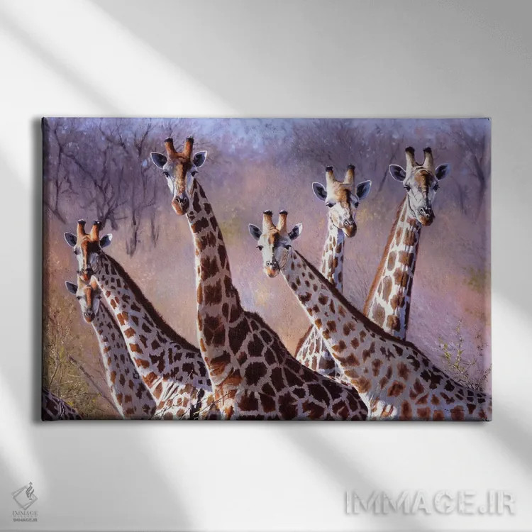 تابلو زرافهها اثر پیپ مکگری - نمای روبهرو روی دیوار