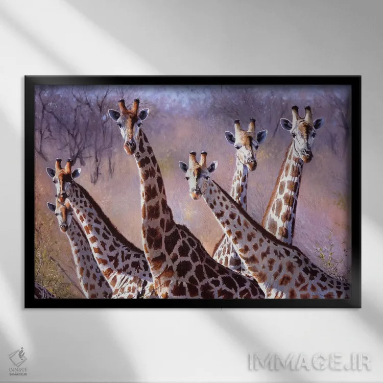 تابلو زرافهها اثر پیپ مکگری - نمای قابدار مشکی