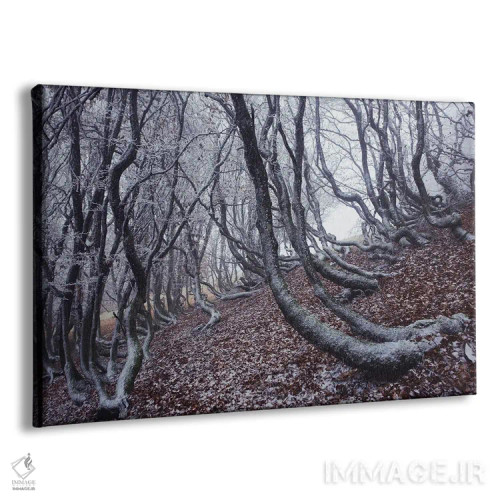 تابلو درختان گرافیکی (طراحی گرافیکی) اثر آنابل شابر - نمای پرسپکتیو محصول
