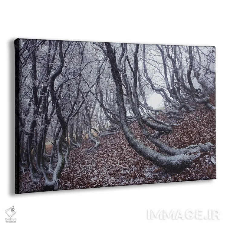 تابلو درختان گرافیکی (طراحی گرافیکی) اثر آنابل شابر - نمای پرسپکتیو محصول