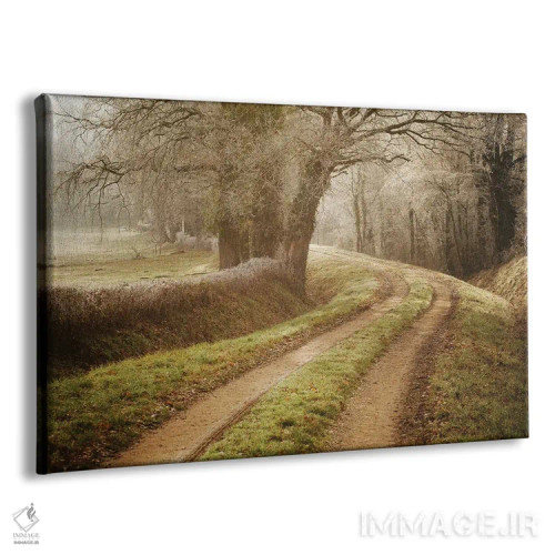 تابلو راهی به سرزمین عجایب اثر آنابل شابر - نمای پرسپکتیو محصول