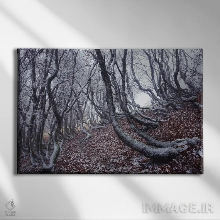 تابلو درختان گرافیکی (طراحی گرافیکی) اثر آنابل شابر - نمای روبهرو روی دیوار