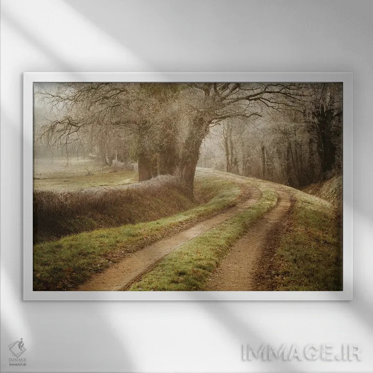 تابلو راهی به سرزمین عجایب اثر آنابل شابر - نمای قابدار سفید