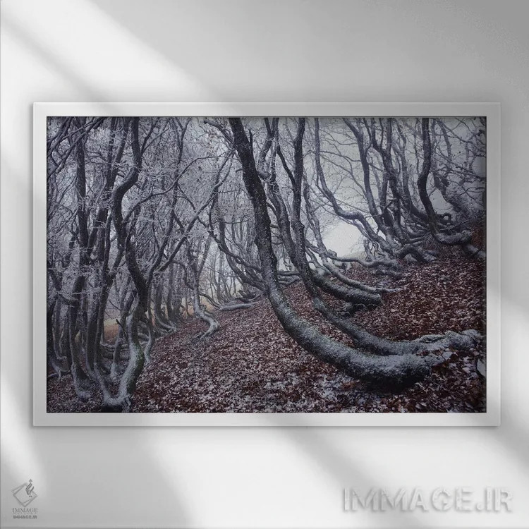 تابلو درختان گرافیکی (طراحی گرافیکی) اثر آنابل شابر - نمای قابدار سفید