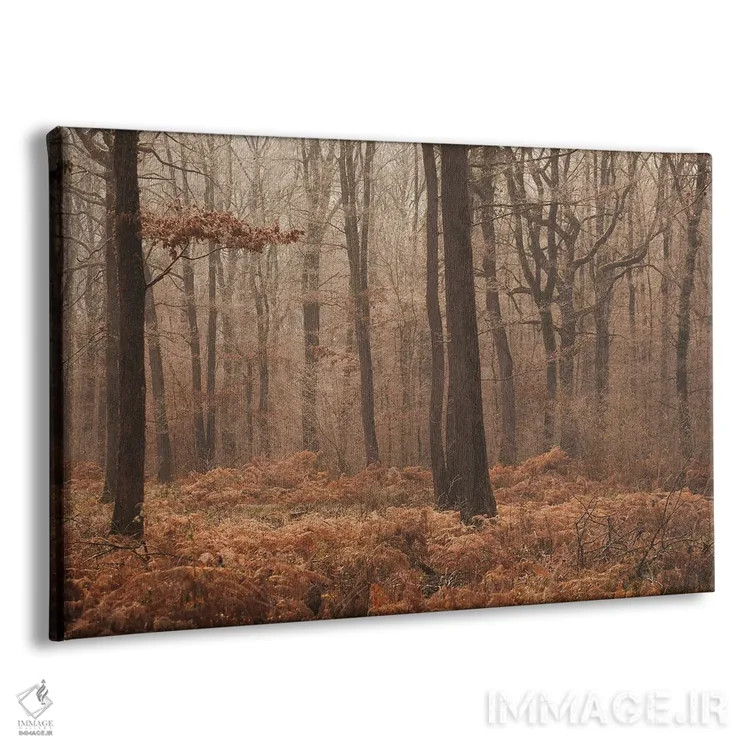 تابلو جنگل مهآلود پاییزی II اثر آنابل شابر - نمای پرسپکتیو محصول