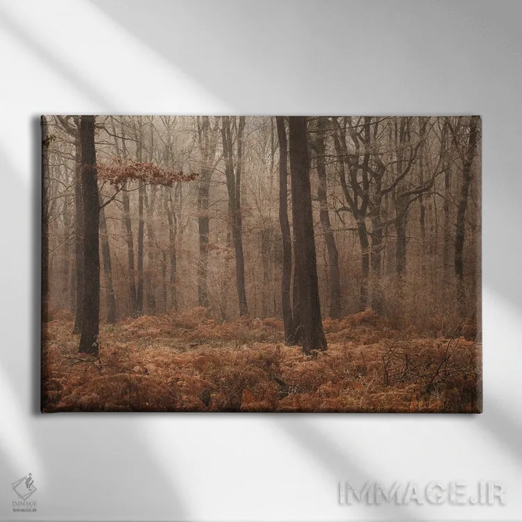 تابلو جنگل مهآلود پاییزی II اثر آنابل شابر - نمای روبهرو روی دیوار