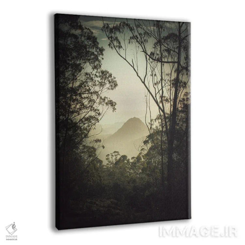 تابلو استامپ ژاپنی II (چاپ سنتی) اثر آنابل شابر - نمای پرسپکتیو محصول