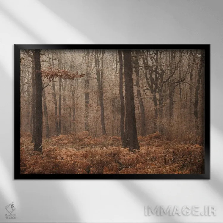 تابلو جنگل مهآلود پاییزی II اثر آنابل شابر - نمای قابدار مشکی