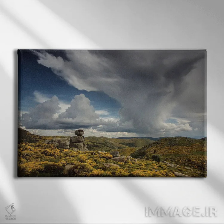 تابلو طوفان رعد و برق بر چشمانداز گلی اثر آنابل شابر - نمای روبهرو روی دیوار