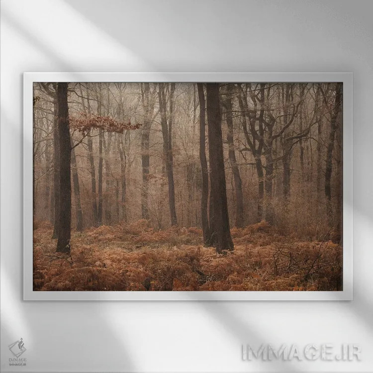 تابلو جنگل مهآلود پاییزی II اثر آنابل شابر - نمای قابدار سفید