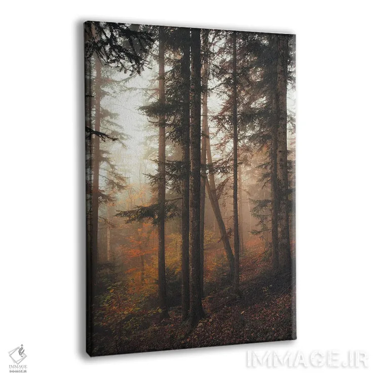 تابلو جنگل رازآلود اثر آنابل شابر - نمای پرسپکتیو محصول