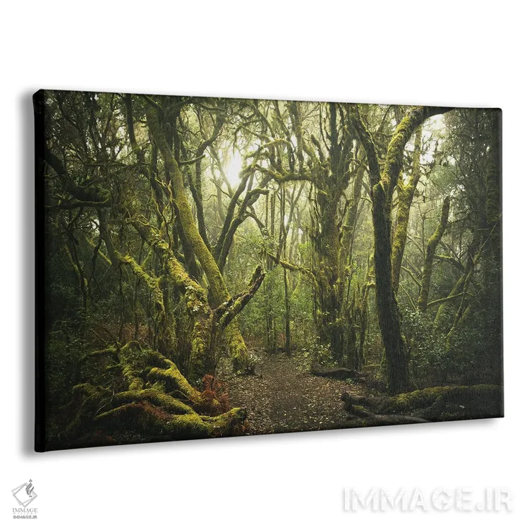 تابلو جنگل مهآلود اثر آنابل شابر - نمای پرسپکتیو محصول