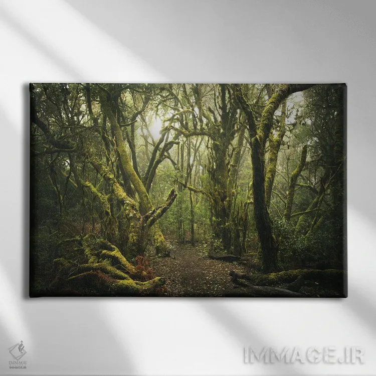 تابلو جنگل مهآلود اثر آنابل شابر - نمای روبهرو روی دیوار