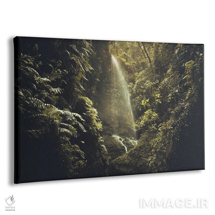 تابلو آبشار مخفی در پوشش گیاهی پرپشت اثر آنابل شابر - نمای پرسپکتیو محصول