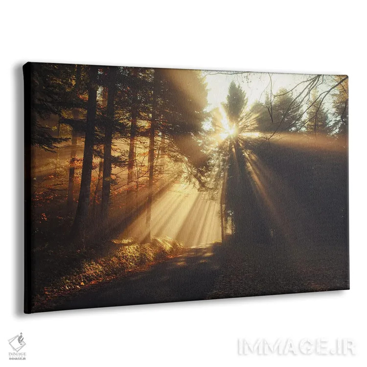 تابلو اشعههای نور از میان جنگل اثر آنابل شابر - نمای پرسپکتیو محصول