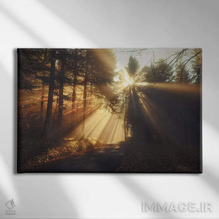 تابلو اشعههای نور از میان جنگل اثر آنابل شابر - نمای روبهرو روی دیوار