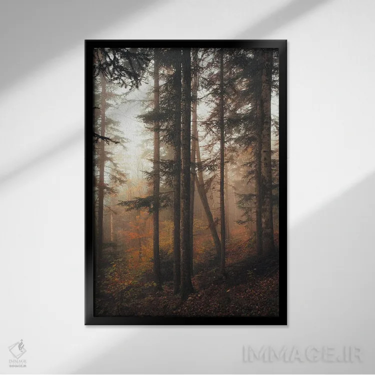تابلو جنگل رازآلود اثر آنابل شابر - نمای قابدار مشکی