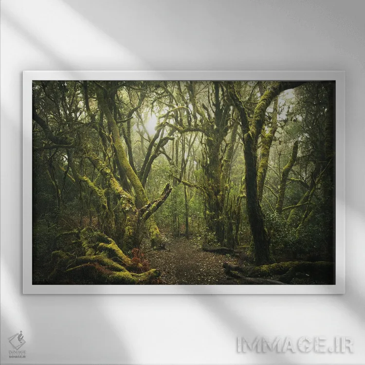 تابلو جنگل مهآلود اثر آنابل شابر - نمای قابدار سفید