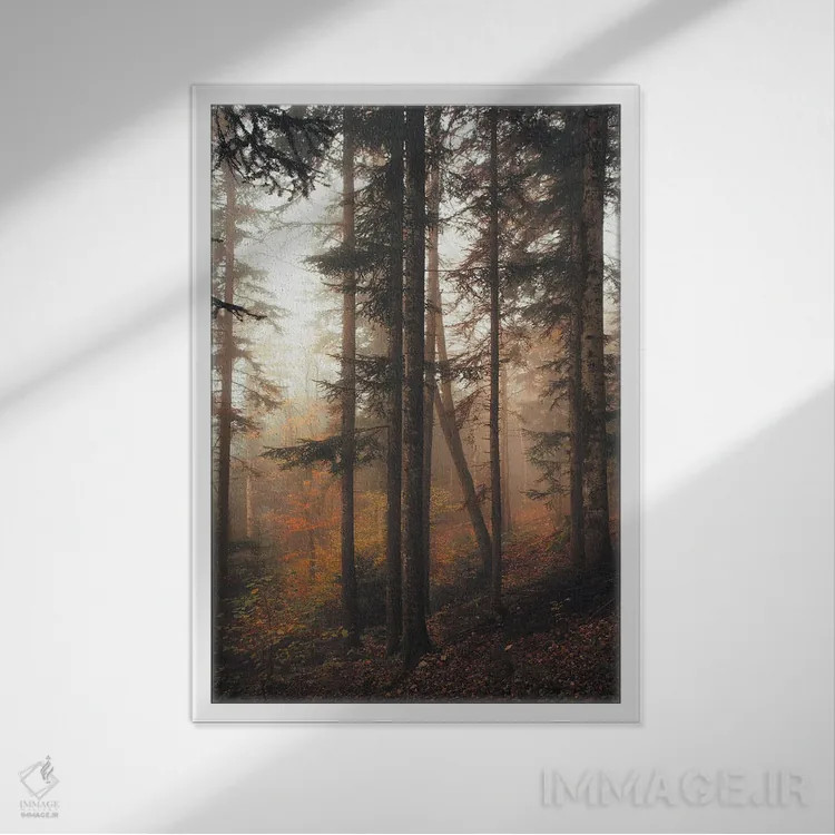 تابلو جنگل رازآلود اثر آنابل شابر - نمای قابدار سفید