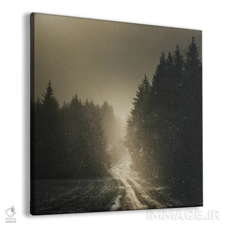 تابلو عبور از میان نور اثر آنابل شابر - نمای پرسپکتیو محصول