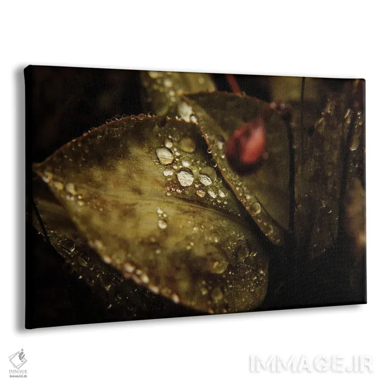 تابلو ماکرو گرافیکی I اثر آنابل شابر - نمای پرسپکتیو محصول