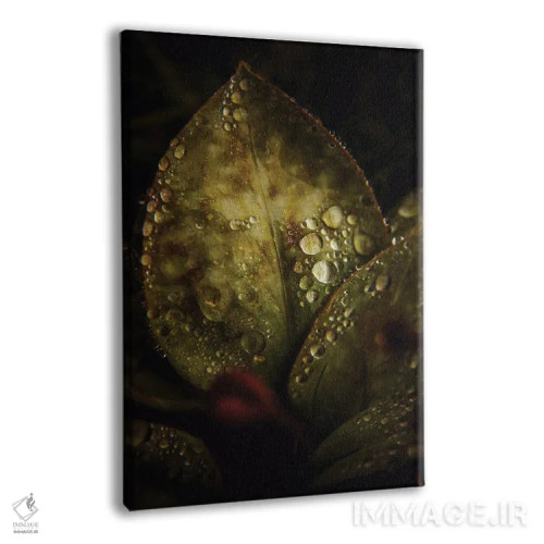 تابلو ماکرو گرافیکی II اثر آنابل شابر - نمای پرسپکتیو محصول