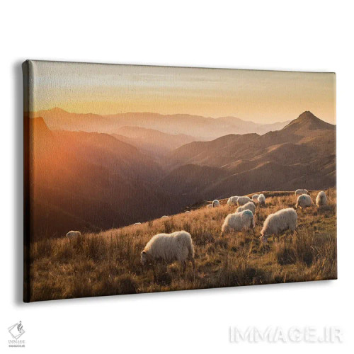 تابلو گوسفندان در کوهستان اثر آنابل شابر - نمای پرسپکتیو محصول