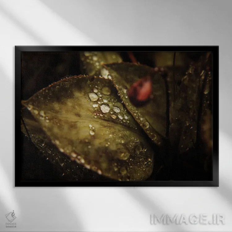 تابلو ماکرو گرافیکی I اثر آنابل شابر - نمای قابدار مشکی