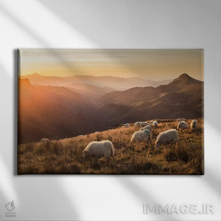 تابلو گوسفندان در کوهستان اثر آنابل شابر - نمای روبهرو روی دیوار