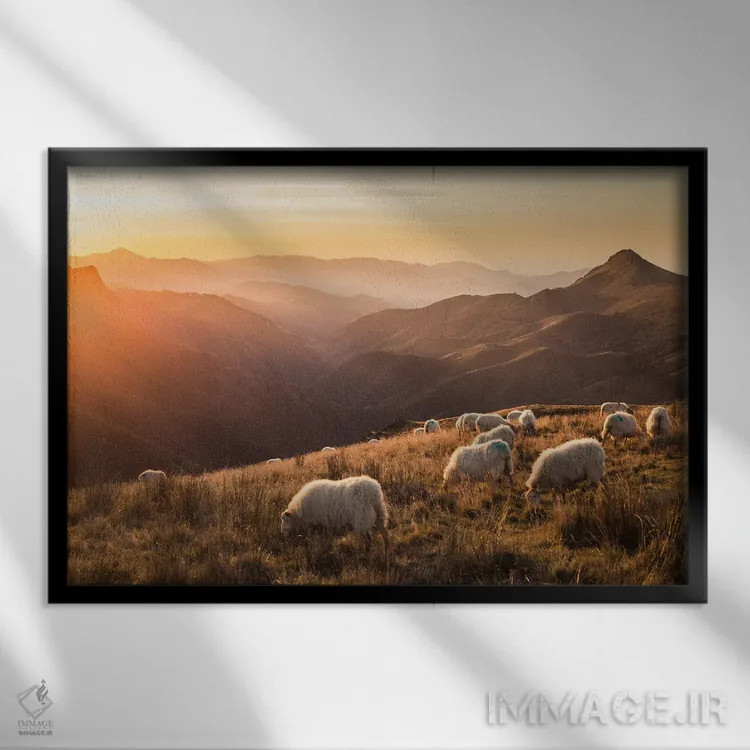 تابلو گوسفندان در کوهستان اثر آنابل شابر - نمای قابدار مشکی