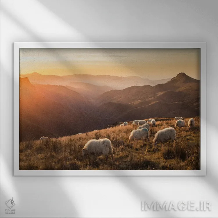 تابلو گوسفندان در کوهستان اثر آنابل شابر - نمای قابدار سفید