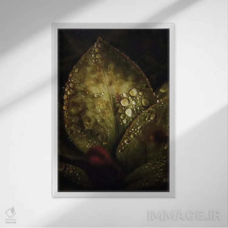 تابلو ماکرو گرافیکی II اثر آنابل شابر - نمای قابدار سفید