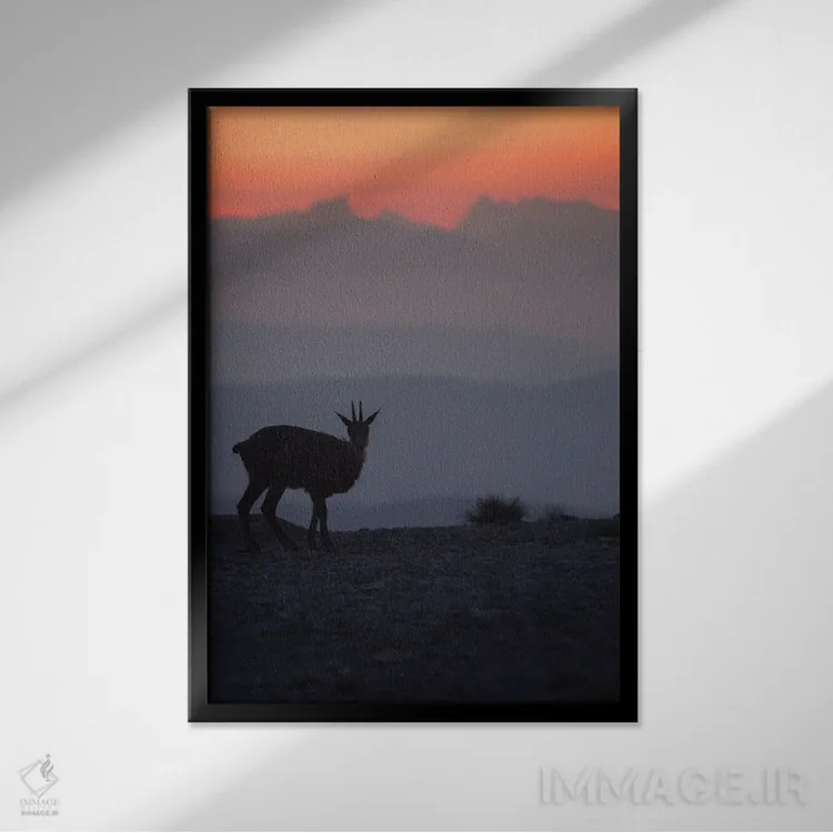 تابلو گاومیش رو به کوهها I اثر آنابل شابر - نمای قابدار مشکی