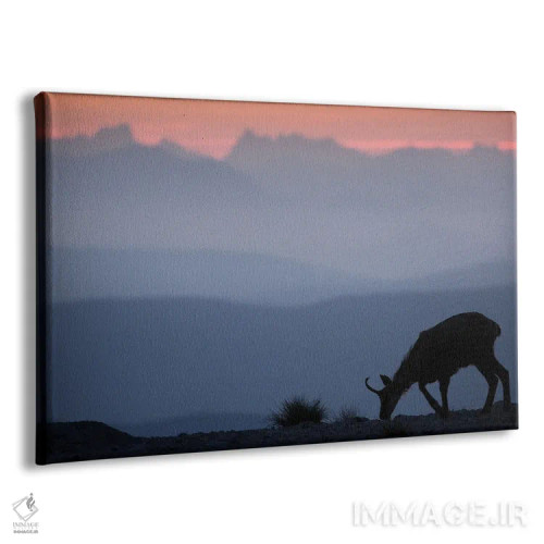 تابلو شاموا رو به کوهها II (نوع بز کوهی) اثر آنابل شابر - نمای پرسپکتیو محصول