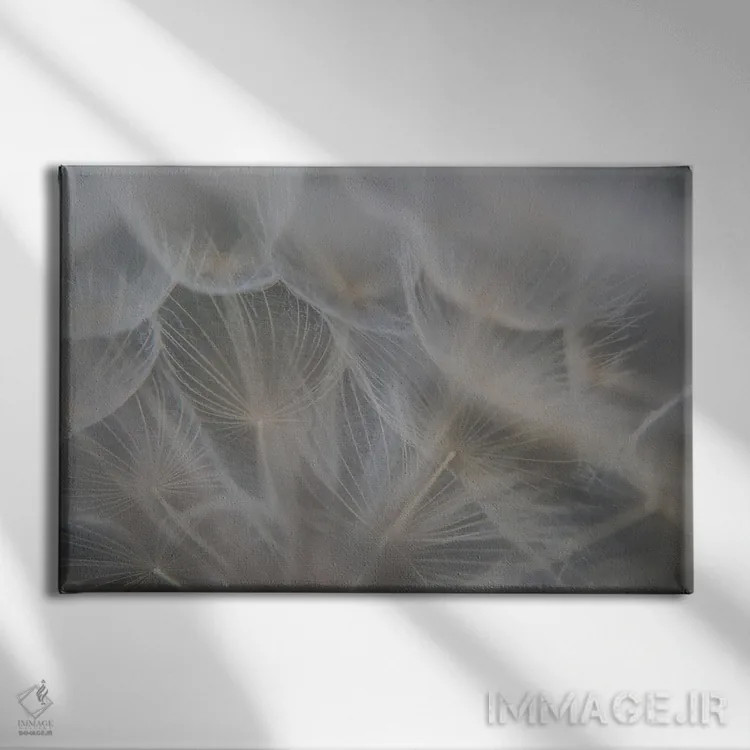 تابلو جزئیات چتری گیاهی اثر آنابل شابر - نمای روبهرو روی دیوار