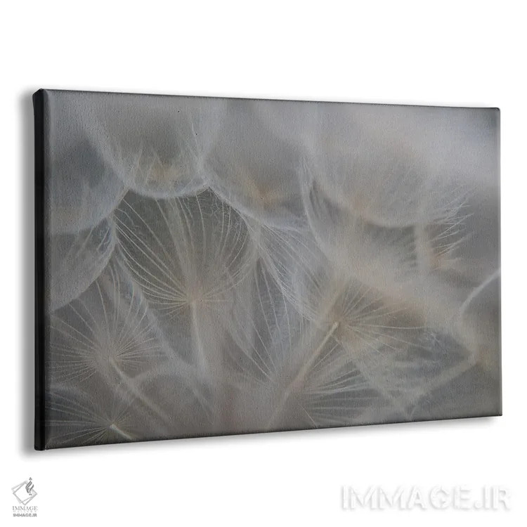 تابلو جزئیات چتری گیاهی اثر آنابل شابر - نمای پرسپکتیو محصول