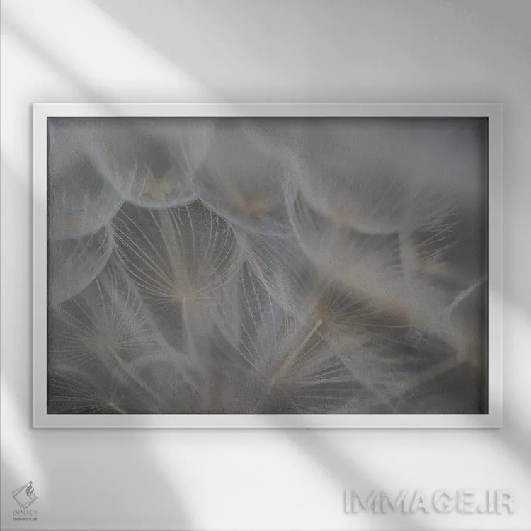تابلو جزئیات چتری گیاهی اثر آنابل شابر - نمای قابدار سفید