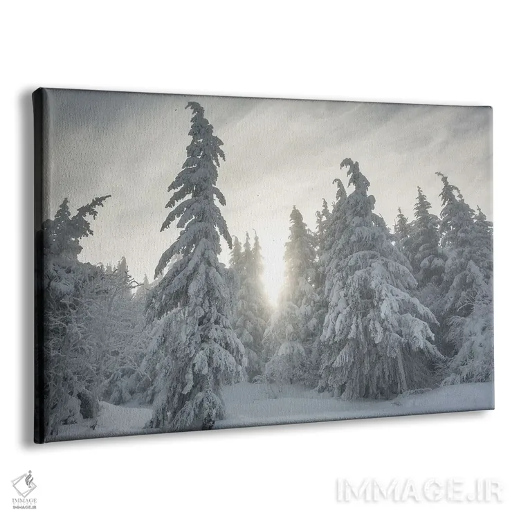 تابلو جنگل برفی اثر آنابل شابر - نمای پرسپکتیو محصول