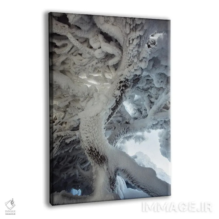 تابلو درخت یخزده اثر آنابل شابر - نمای پرسپکتیو محصول