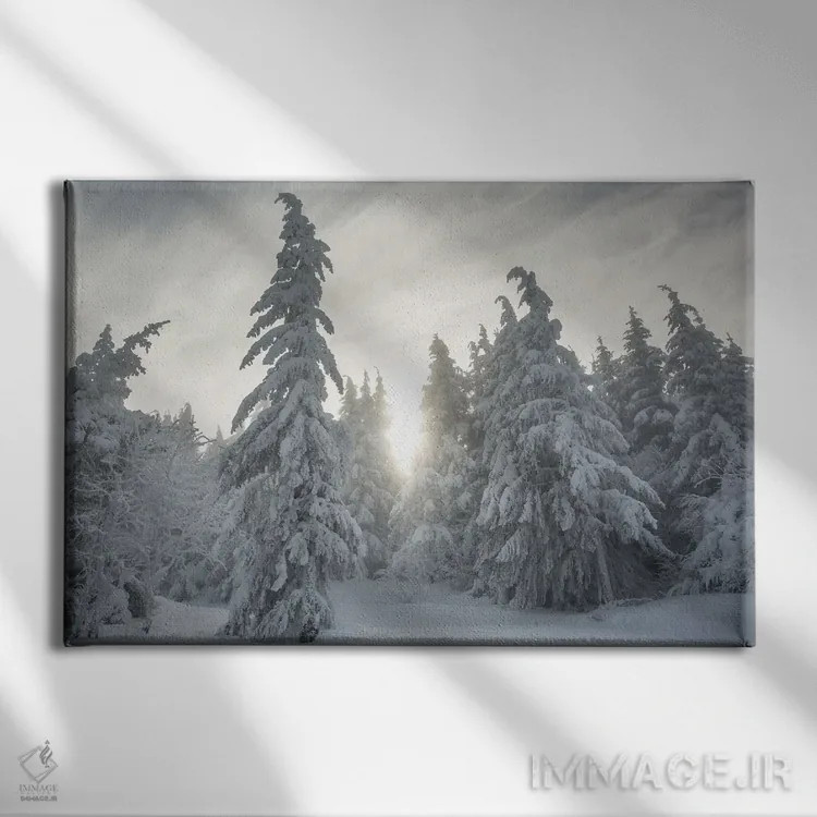 تابلو جنگل برفی اثر آنابل شابر - نمای روبهرو روی دیوار