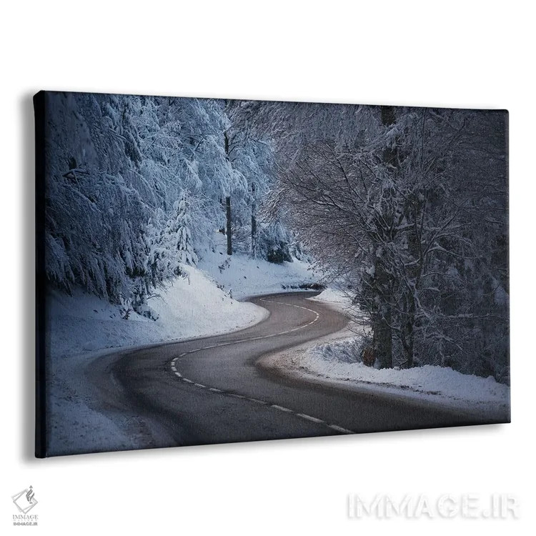 تابلو جاده پیچدار در برف اثر آنابل شابر - نمای پرسپکتیو محصول
