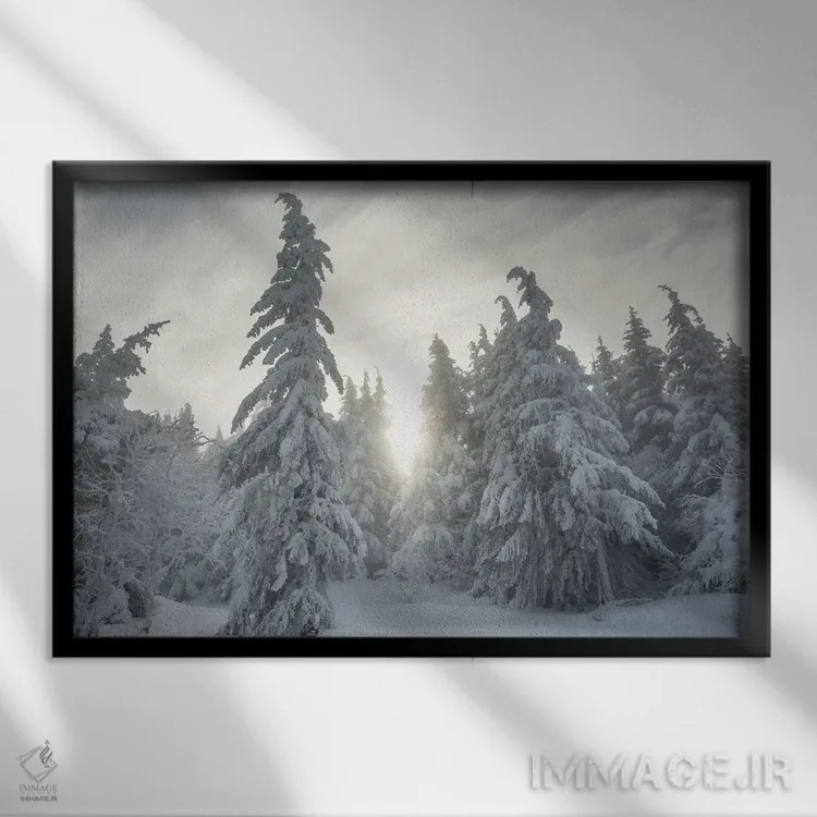 تابلو جنگل برفی اثر آنابل شابر - نمای قابدار مشکی