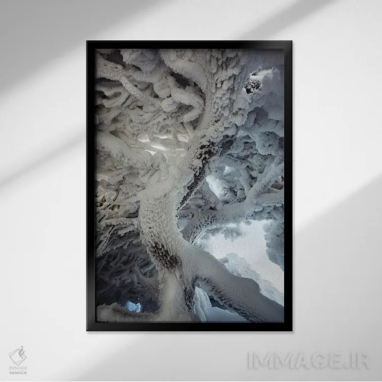 تابلو درخت یخزده اثر آنابل شابر - نمای قابدار مشکی