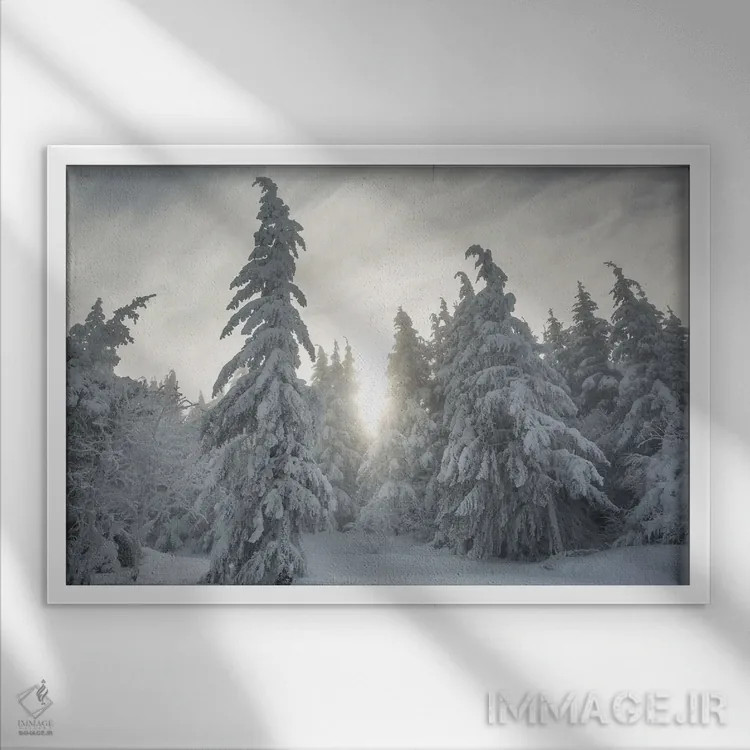 تابلو جنگل برفی اثر آنابل شابر - نمای قابدار سفید