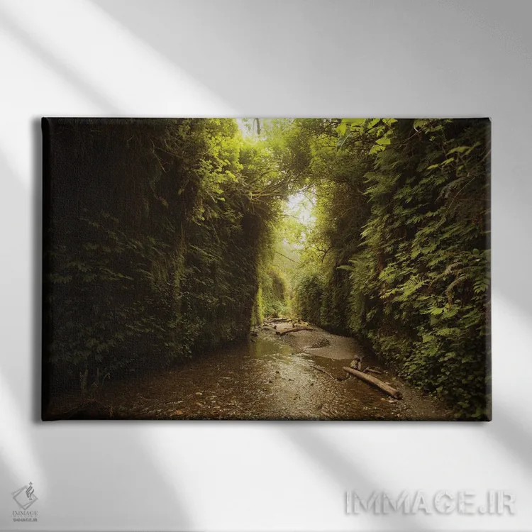 تابلو تونل سرخس در کالیفرنیا اثر آنابل شابر - نمای روبهرو روی دیوار