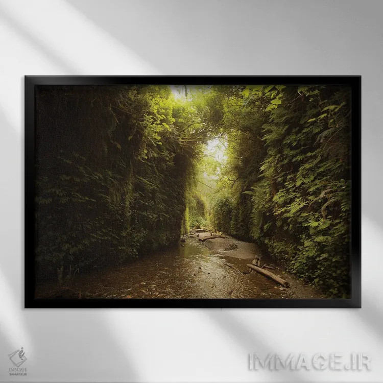 تابلو تونل سرخس در کالیفرنیا اثر آنابل شابر - نمای قابدار مشکی