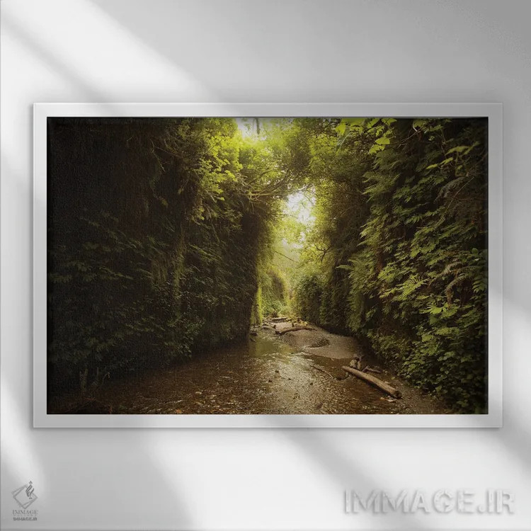 تابلو تونل سرخس در کالیفرنیا اثر آنابل شابر - نمای قابدار سفید