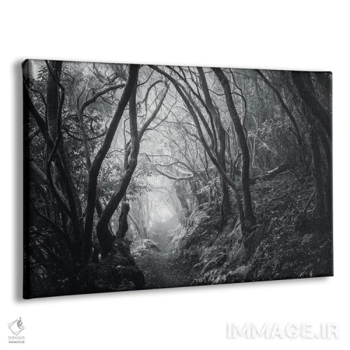 تابلو مسیر رؤیاها اثر آنابل شابر - نمای پرسپکتیو محصول