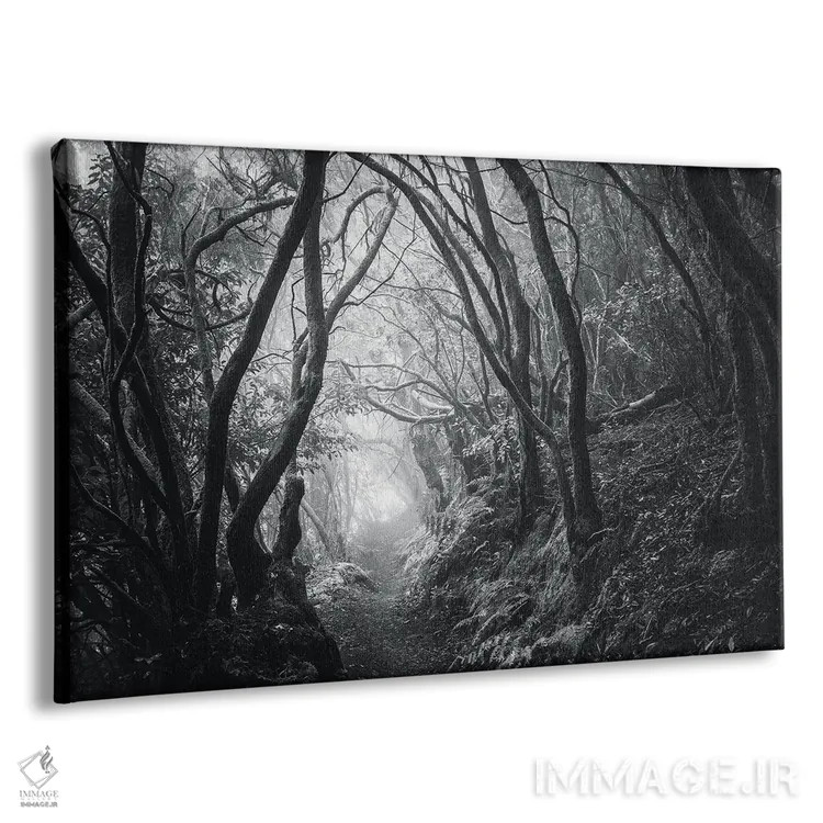 تابلو مسیر رؤیاها اثر آنابل شابر - نمای پرسپکتیو محصول